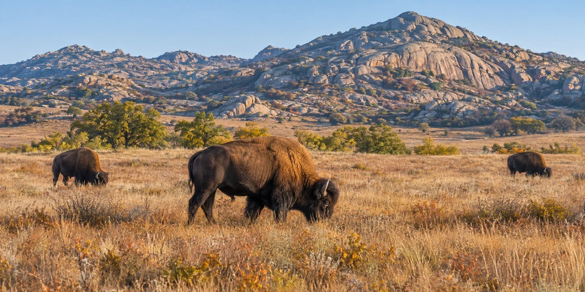 Top Stops on Your Southwest RV Adventure